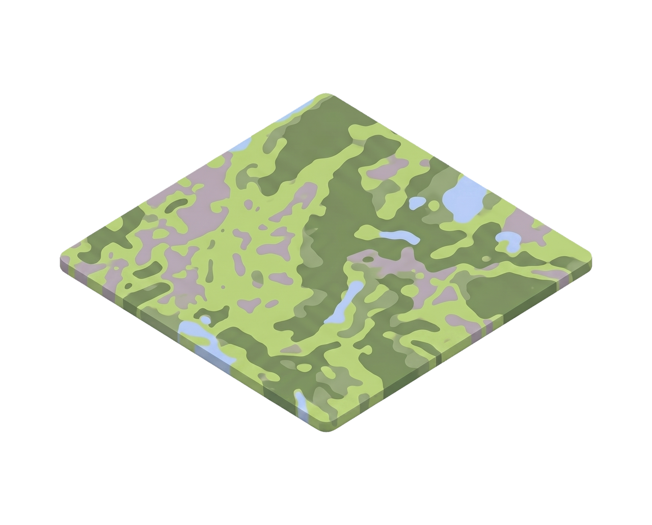 Vegetation & fuel load