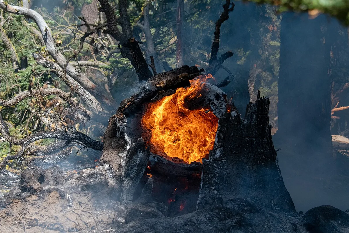 Caldor Fire (2021) in Amador County, California - The Caldor Fire burned more than 220,000 acres in El Dorado, Amador, and Alpine counties in California in 2021. It destroyed more 