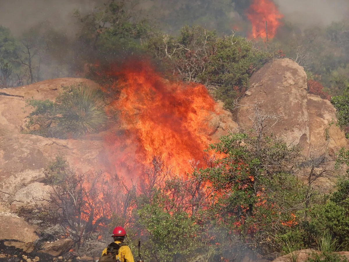 Telegraph Fire (2021) in Gila County, Arizona - Fire crews fighting the Telegraph Fire on June 9, 2021