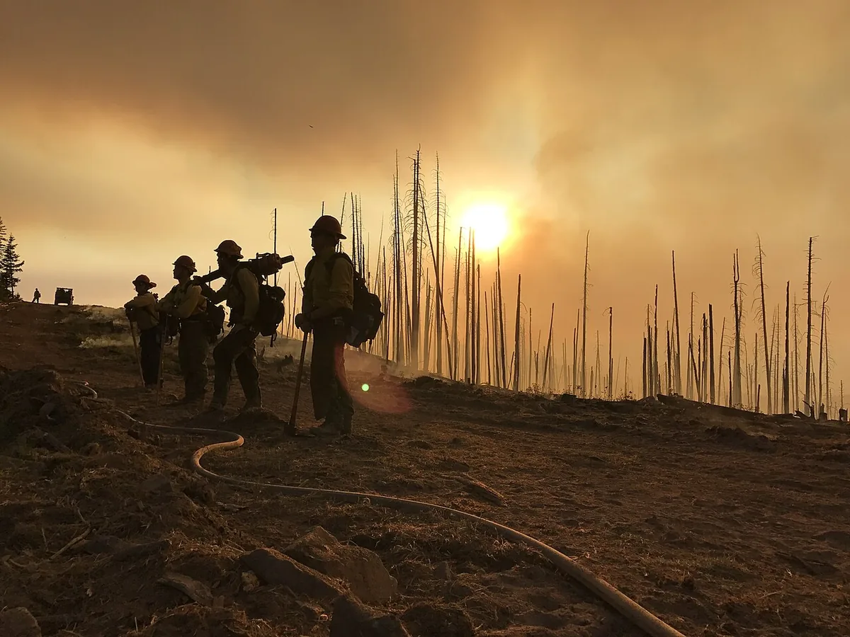 Frye Fire (2017) in Graham County, Arizona - The BLM Gila District's Safford Hand Crew works a burnout operation during the 2017 Frye Fire, Coronado National Forest, Arizona. 