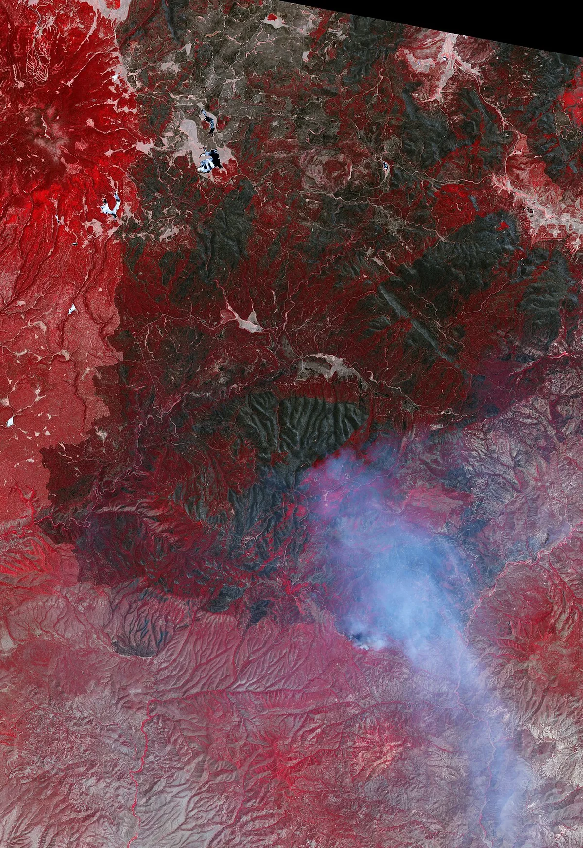 Wallow Fire (2011) in Greenlee County, Arizona - This image shows areas that were completely burned, side-by-side with areas that were moderately or lightly burned or not touched 