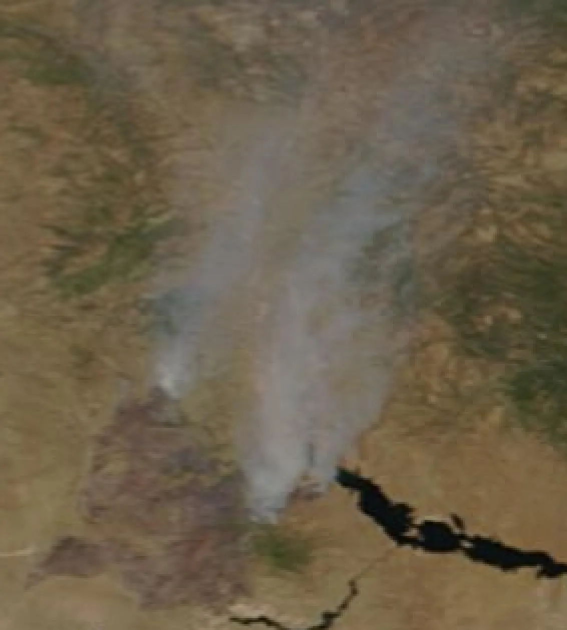 Bush Fire (2020) in Maricopa County, Arizona - The Bush Fire burning in central Arizona on June 17, 2020 as seen from space