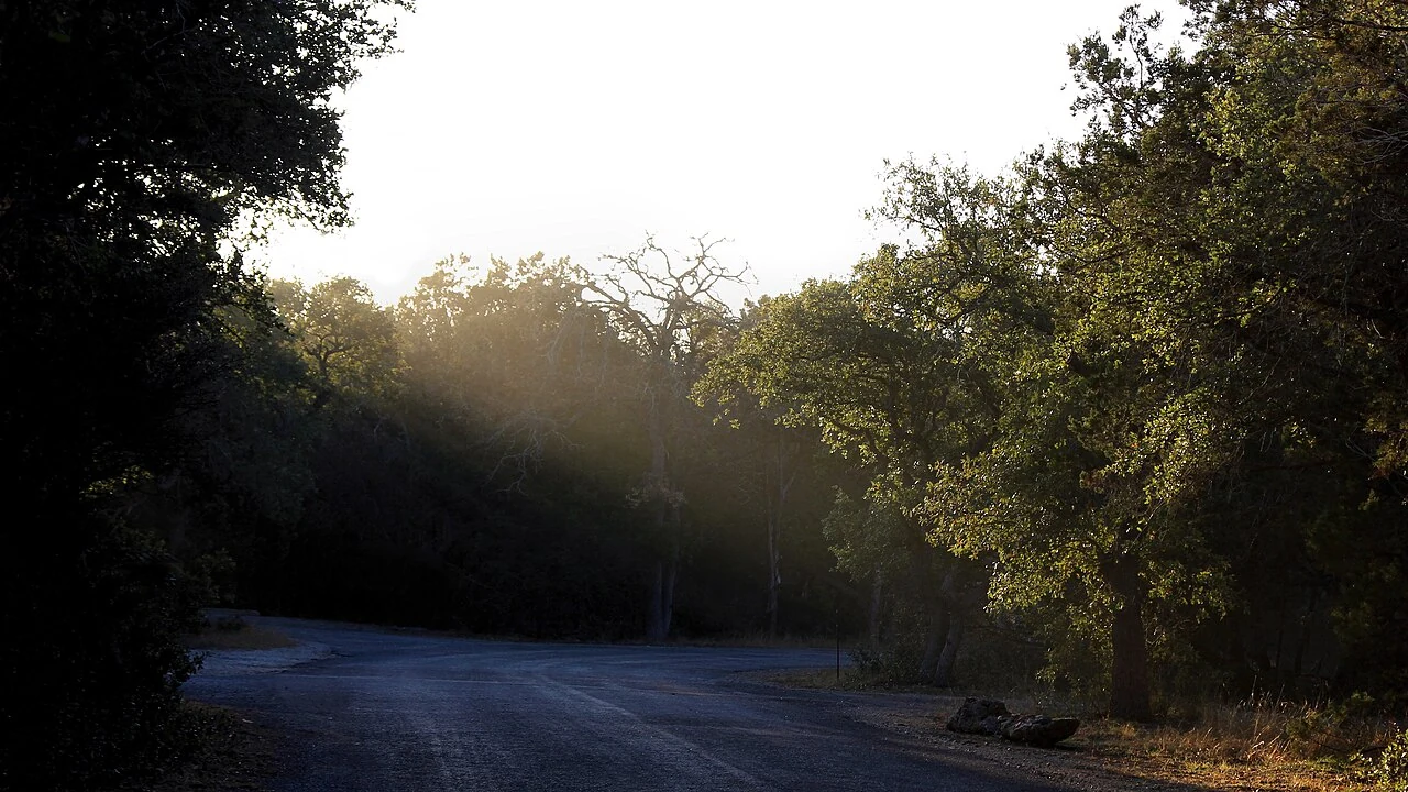 Morning light across Guadalupe River State Park in Comal County, showing the oak-juniper landscape that frames the county’s western communities