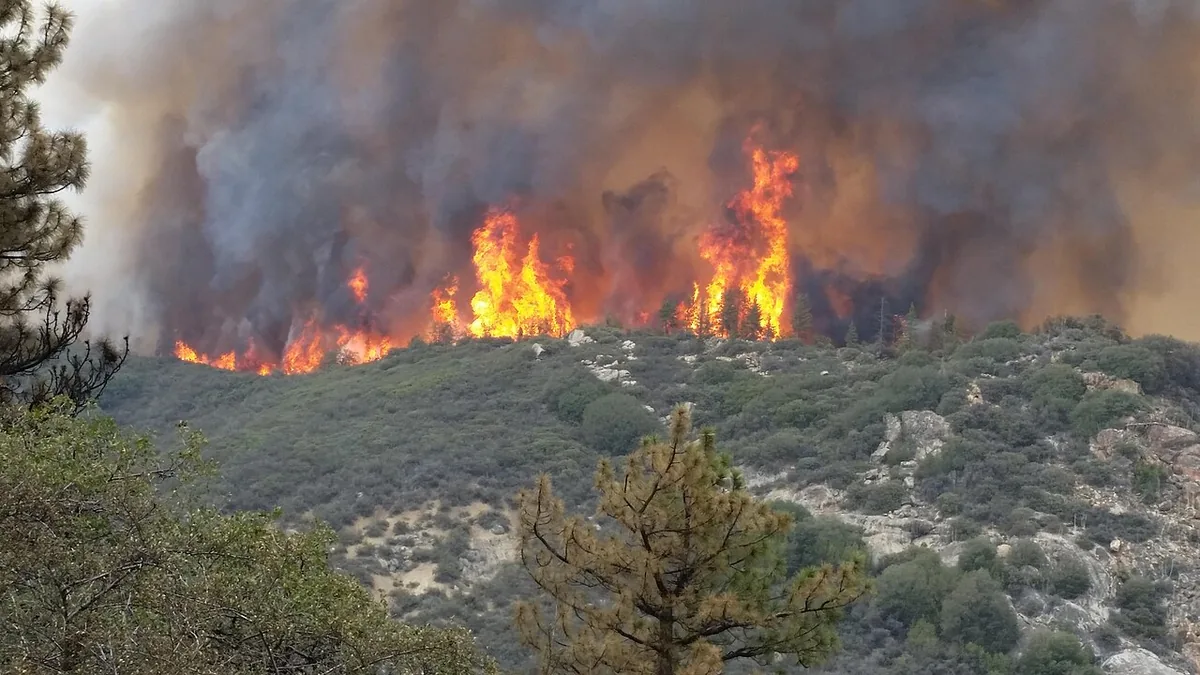 Rough Fire (2015) in Fresno County, California - The Rough Fire in the Sierra National Forest and Sequoia National Forest, Fresno County, CA began on July 31, 2015 and burned more
