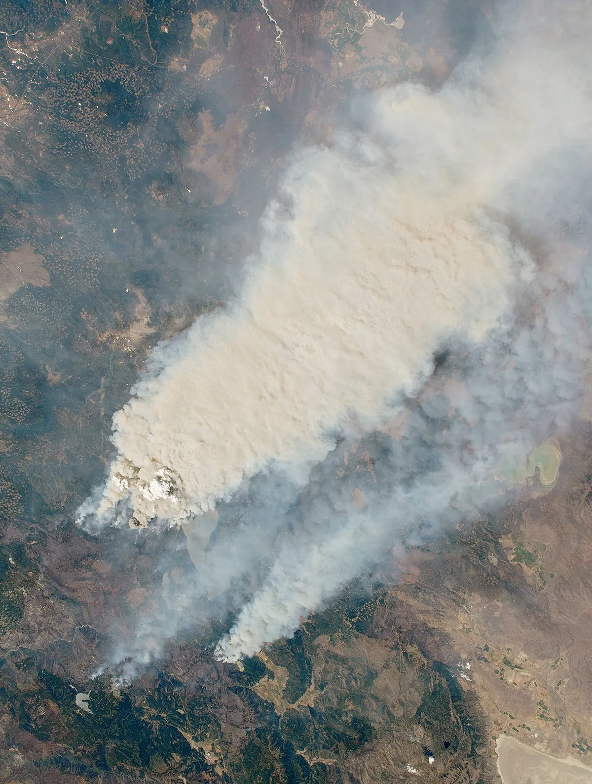 Dixie Fire (2021) in Lassen County, California - Smoke of the Dixie Fire in California on August 4, 2021. Picture taken by an astronaut on the International Space Station.