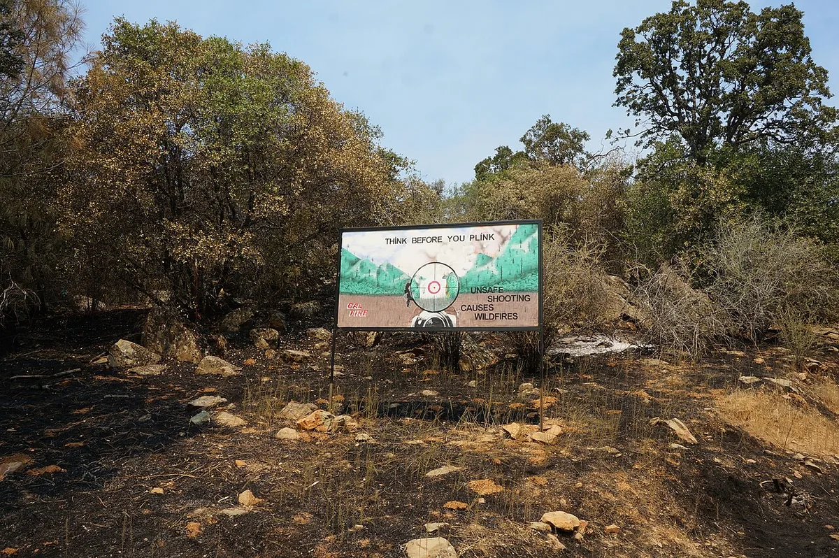 Detwiler Fire (2017) in Mariposa County, California - Photo by Jerry Martinez, BLM.
