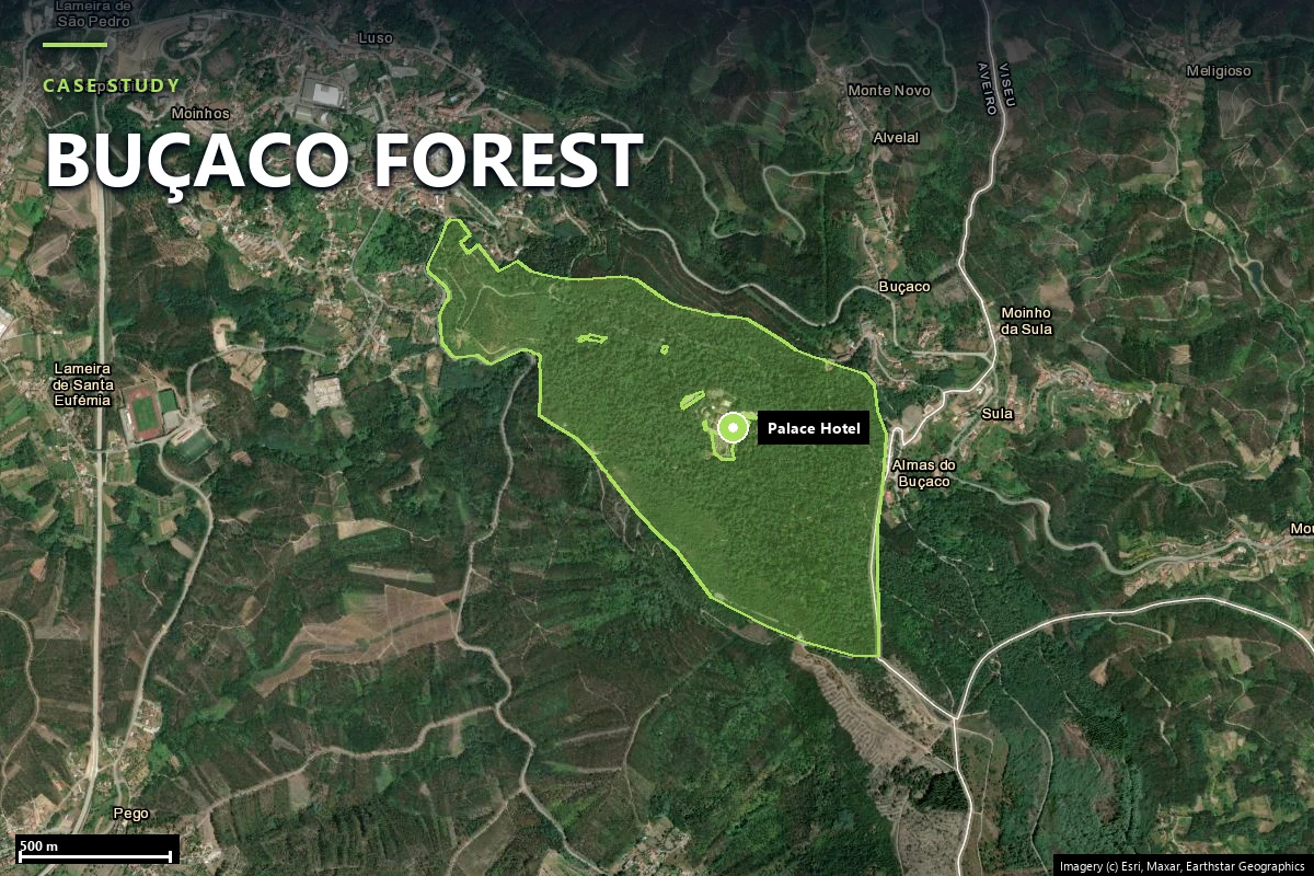Satellite view of the Mata Nacional do Buçaco outlined in green on the ridge south-east of Luso, with the Palace Hotel marked inside the forest, surrounded by eucalyptus plantations