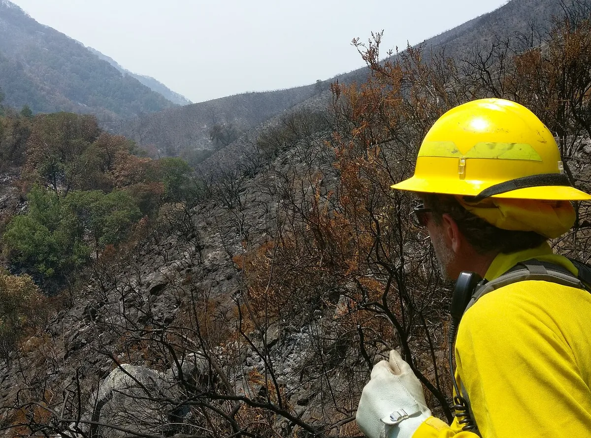 Soberanes Fire (2016) in Monterey County, California - Photo by Sarah Chmielewski, BLM.