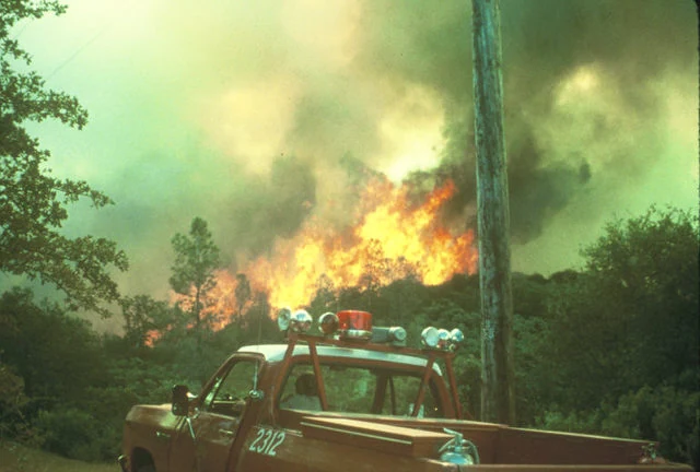 Flames running through oak woodland and brush during the 1988 49er Fire in Nevada County, California, with a CAL FIRE engine parked on the road in the foreground