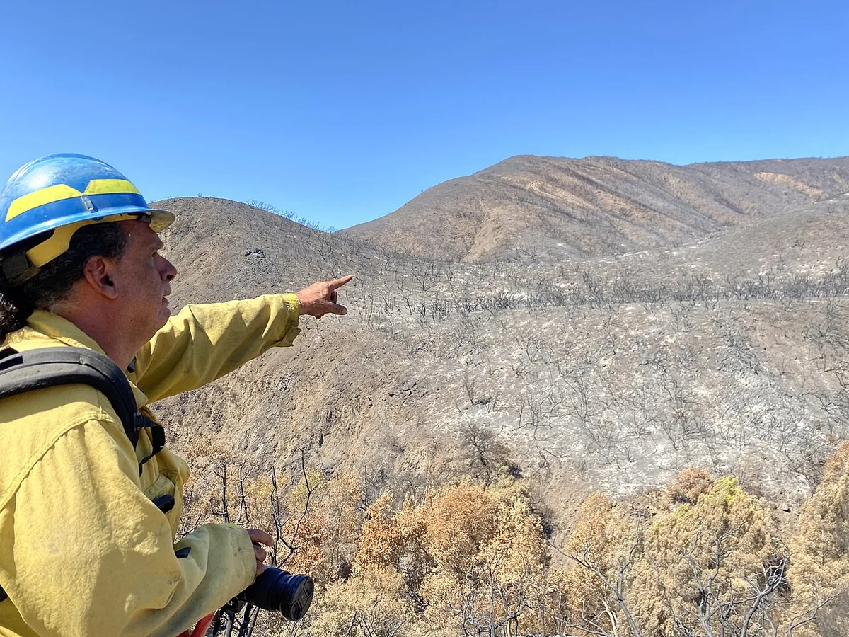 Airport Fire (2024) in Orange County, California - USDA Forest Service BAER soil scientist Eric Nicita, assessing soil burn severity on the 2024 Airport fire on the Cleveland Nation