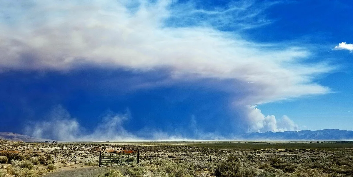 Sugar Fire (2021) in Plumas County, California - 2nd place winner, 2022 Employee Photo Contest: Wildland Fire category. Sugar Fire smoke above Honey Lake. Photo by William O. John