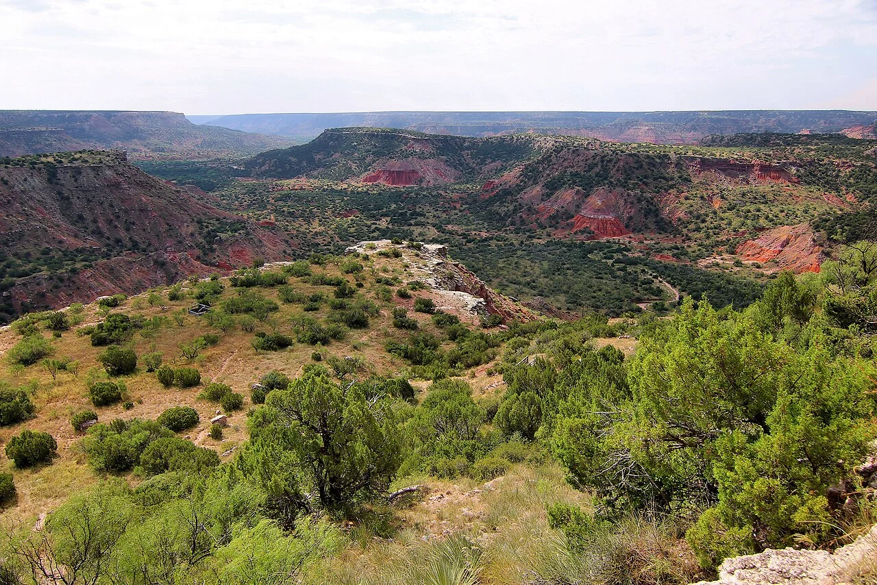 View into Palo Duro Canyon in Randall County, Texas, showing the county’s sharp relief and dry canyon-edge terrain