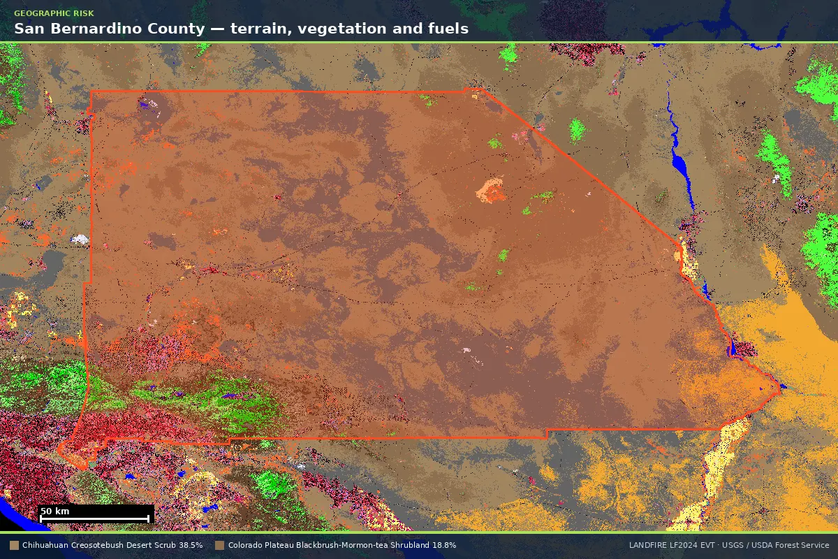 LANDFIRE existing vegetation type map of San Bernardino County, California, with the county boundary outlined