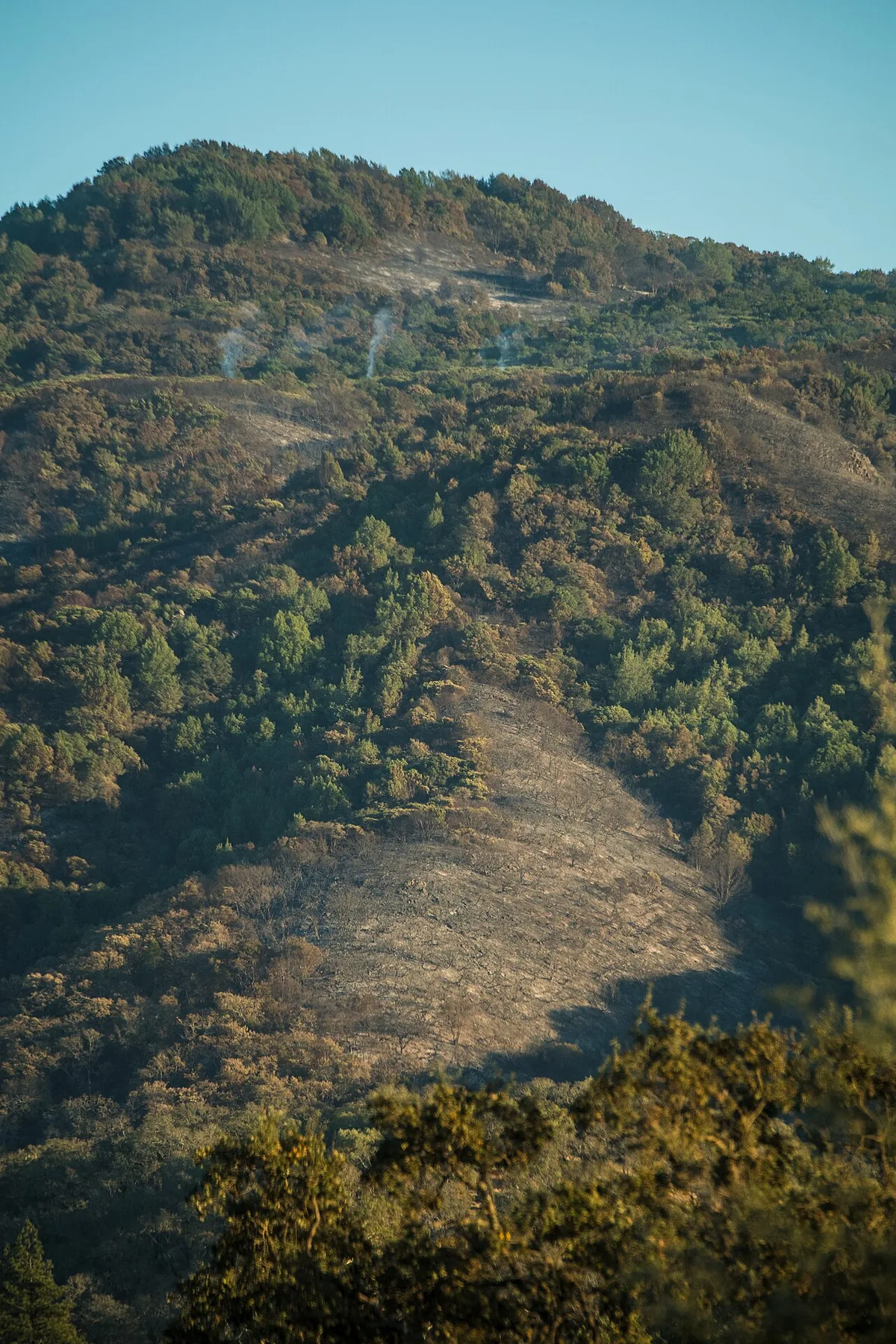 Atlas Fire (2017) in Solano County, California - Charred hills after the Atlas Fire threatened residential areas in Napa, California, on October 14, 2017. As of October 15, 2017, 