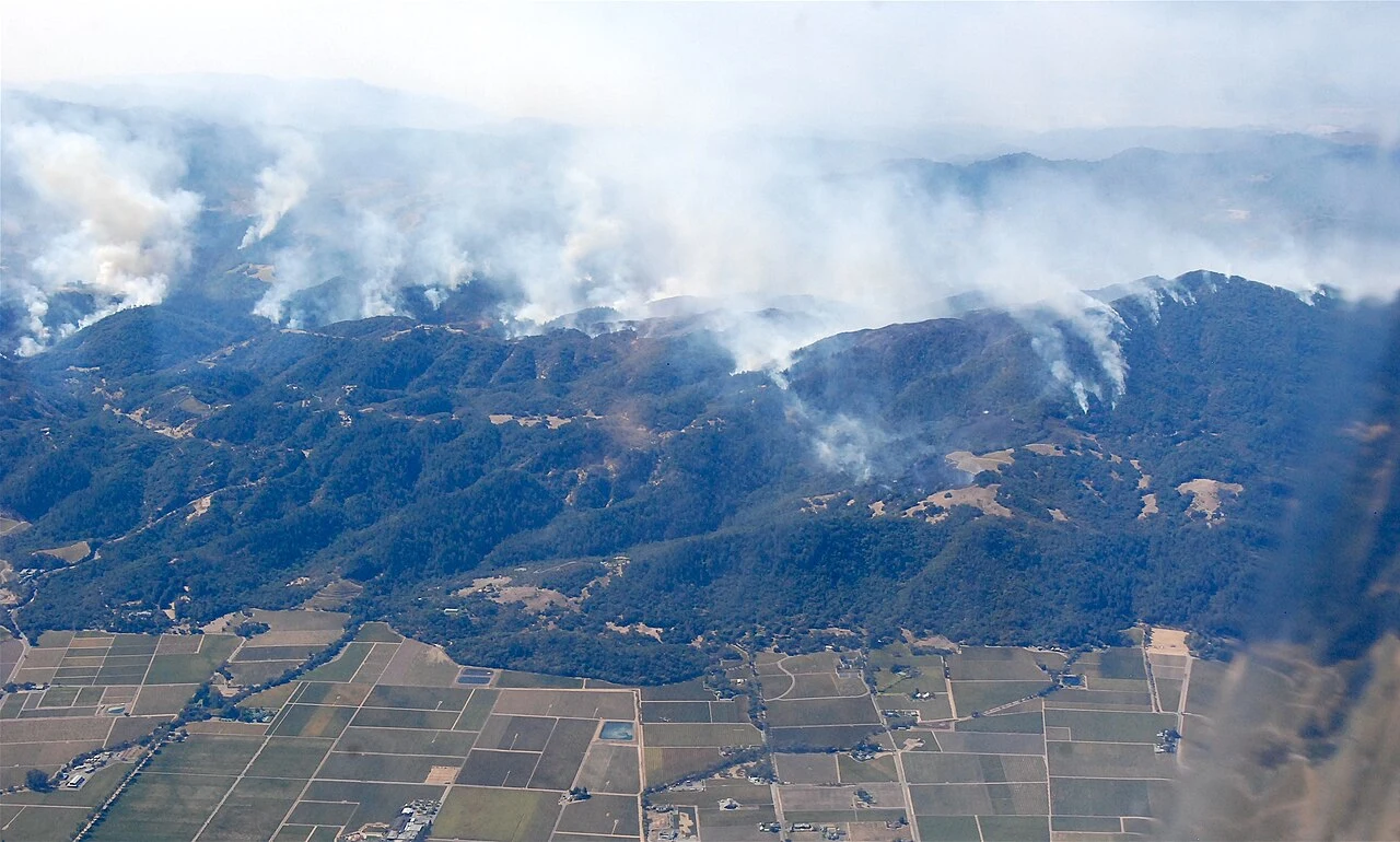 Aerial view of wildfire smoke rising from forested hills above Sonoma County vineyards during the October 2017 firestorm