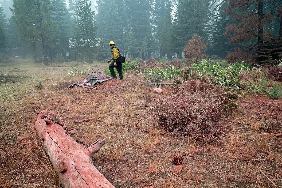 Donnell Fire (2018) in Tuolumne County, California - Eric Garcia, firefighter, in a field near a cabin covered with pink fire retardant in Stanislaus National Forest, California durin