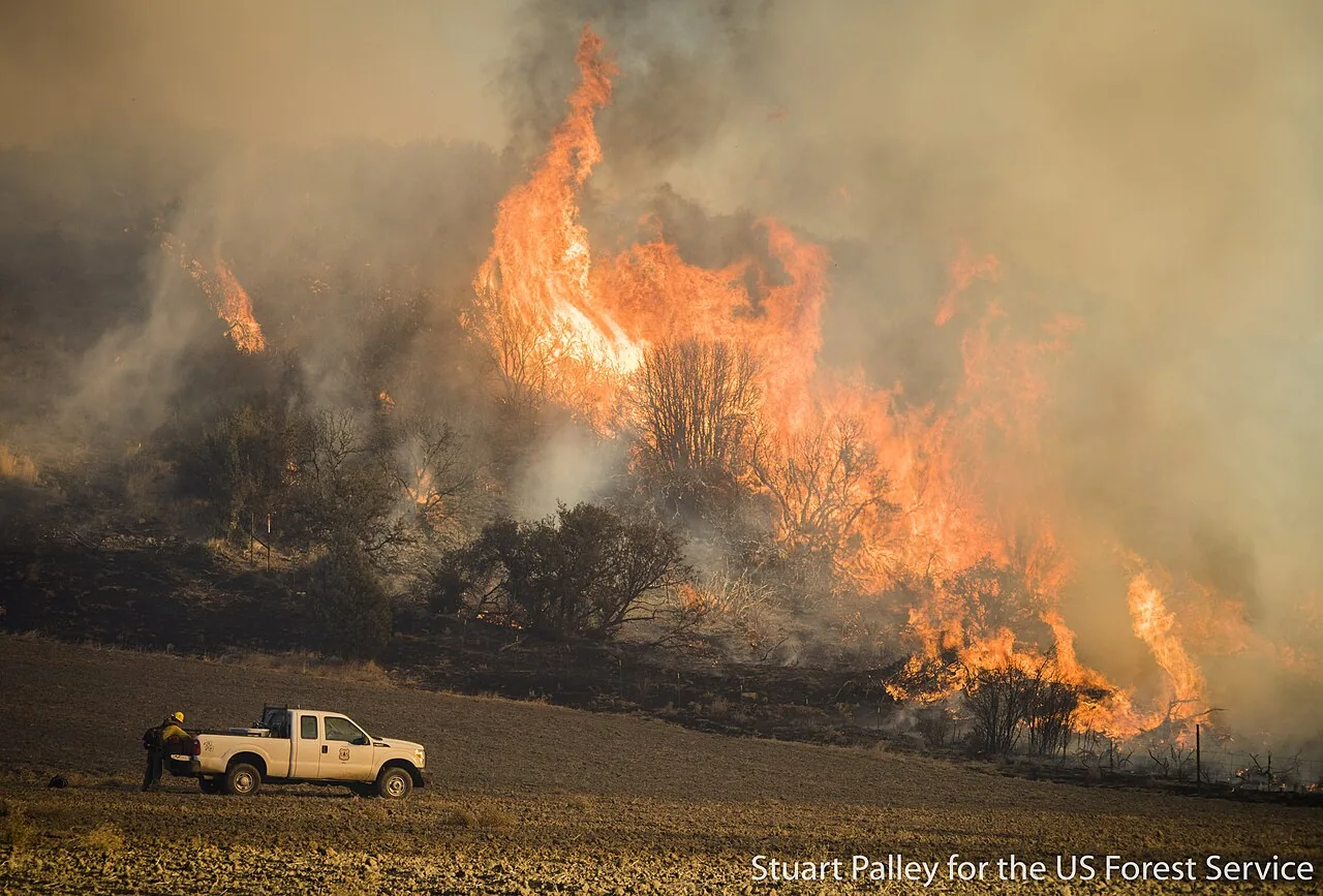 The Thomas Fire burning through chaparral and oak in the hills of the Los Padres National Forest in December 2017, with a US Forest Service truck and firefighter in a cleared field in the foreground